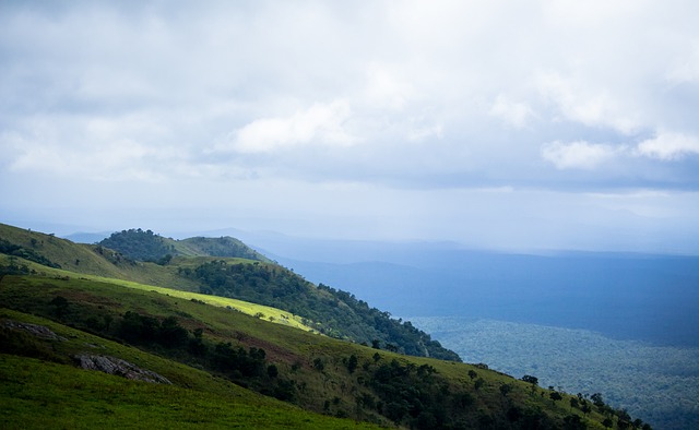 露就秒到没人要！名记辟谣罗德里戈加盟英超豪门，皇马砸手里了？